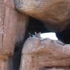 Arizona 010