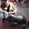 Arizona 023