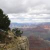 Arizona 029