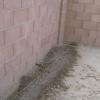 digging irrigation trench