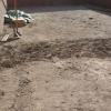 laying pavers