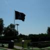 Pirate Golf