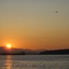 IMG_4515