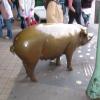 pig at Pike's Market