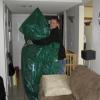 bringing in the tree