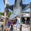 Scott, Jess and Jaws