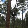 Geocaching