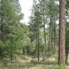 Geocaching