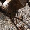 Metal dragon