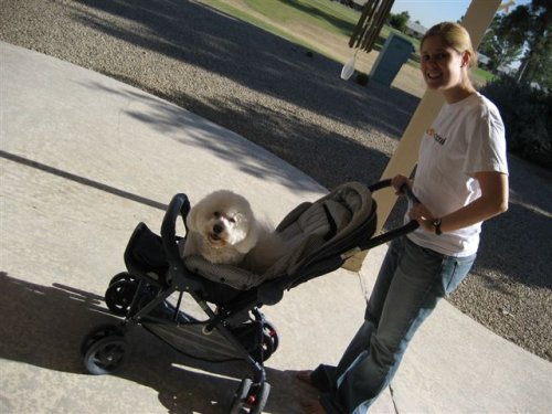 Jess taking Pepe for a walk