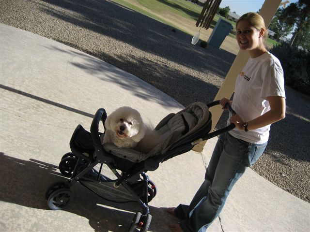Jess taking Pepe for a walk